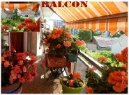 Achat vente appartement t2 Vanves