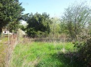 Achat vente Bransles