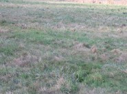 Achat vente Breux Jouy