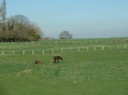 Achat vente maison de village / ville Marines