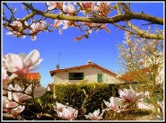 Achat vente maison de village / ville Vigneux Sur Seine