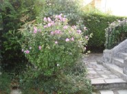 Achat vente maison Le Blanc Mesnil