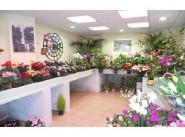 Achat vente Sartrouville