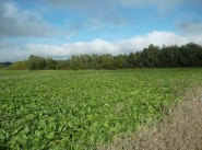 Achat vente terrain Meaux