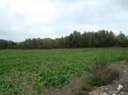 Achat vente terrain Meaux