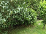 Achat vente terrain Morsang Sur Orge