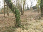 Achat vente terrain Viarmes