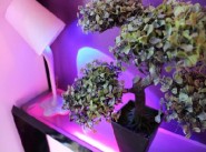 Appartement t2 Plaisir