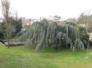 Appartement t3 Chatou