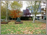 Appartement t3 Coubron