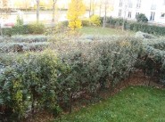 Appartement t3 La Plaine Saint Denis