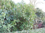 Maison Quincy Sous Senart