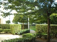 Studio et t1 Pontoise