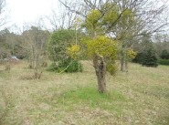 Terrain Noisy Sur Ecole