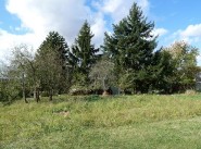 Terrain Vallangoujard